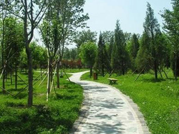 江苏宗轩园林绿化工程 匠心筑绿，绘就生态城市新画卷