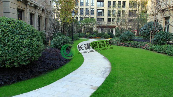 北京长青藤园林绿化工程