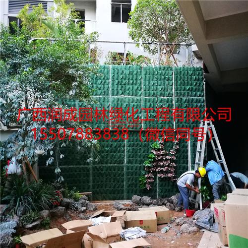 施工工艺之五后期效果 2020年4月1日广西润成园林绿化工程 卓